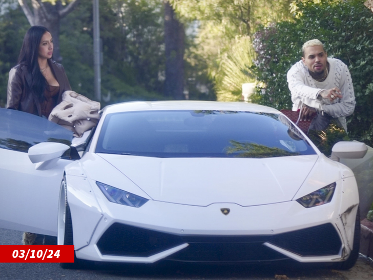 Chris Brown's White Lambo Suffers Damage, Sparking Emotional Outburst